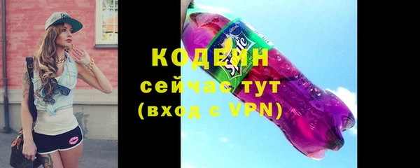 стаф Вяземский