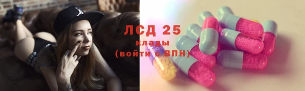 стаф Вяземский