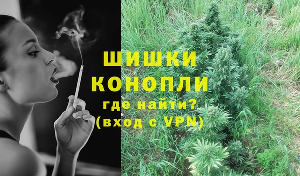 стаф Вяземский
