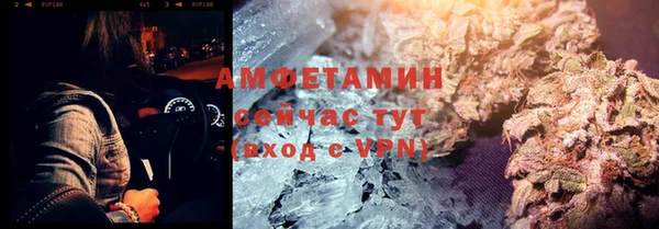 стаф Вяземский