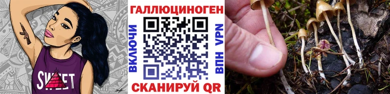 Псилоцибиновые грибы MAGIC MUSHROOMS  Купить закладки  Артёмовск 